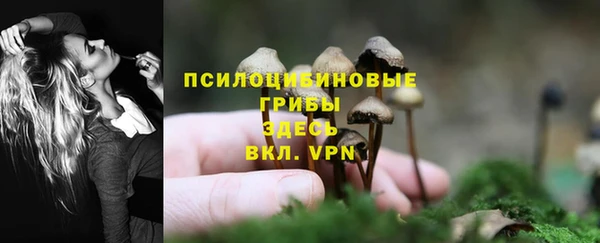 первитин Белоозёрский