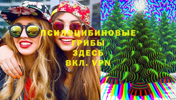 первитин Белоозёрский