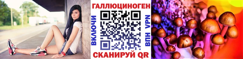 Псилоцибиновые грибы Magic Shrooms  Севск 